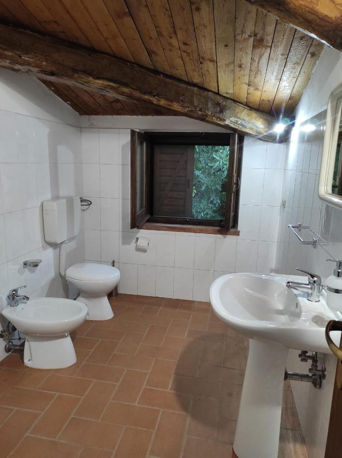 Agriturismo Difesa Del Monte Grisolia Bagian luar foto